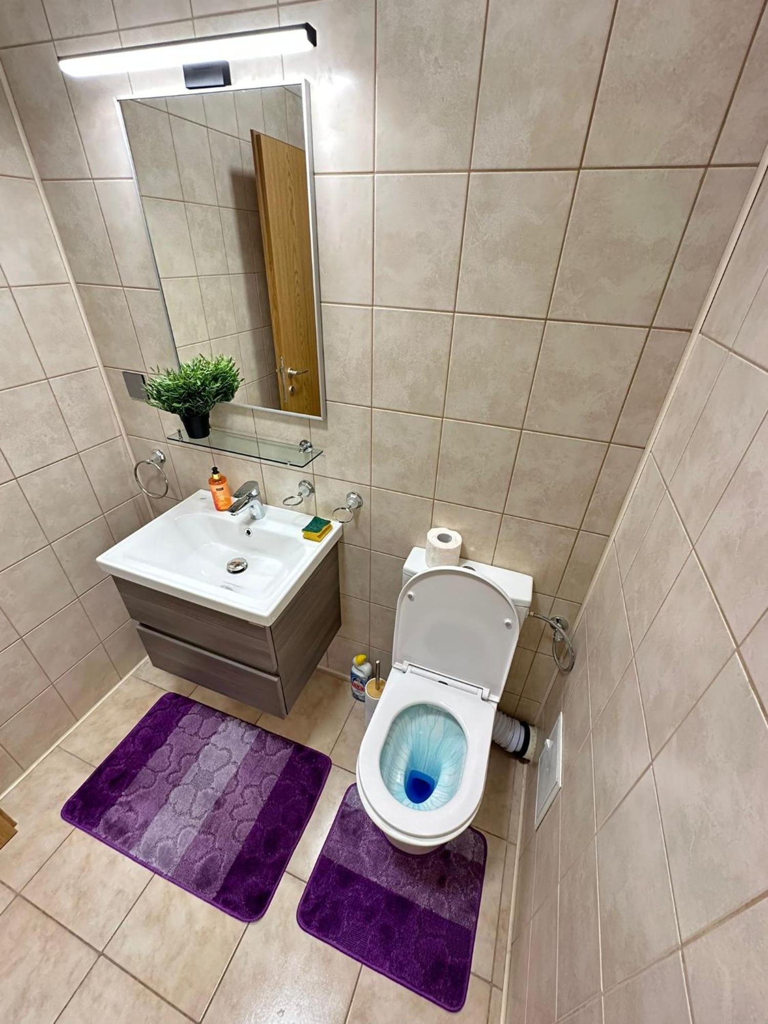 Centru Unirii Luxury Vip Palmier Apartament 2 Camere Cu Terasa Exterioara Amenajata ! Parcare Subterana Privata Climatizata Si Supravegheata Video Dar Doar Cu Rezervare In Limita Locurilor Disponibile !Proprietate In Regim Hoteliep - Nu Are Bucatarie Бухарест Экстерьер фото