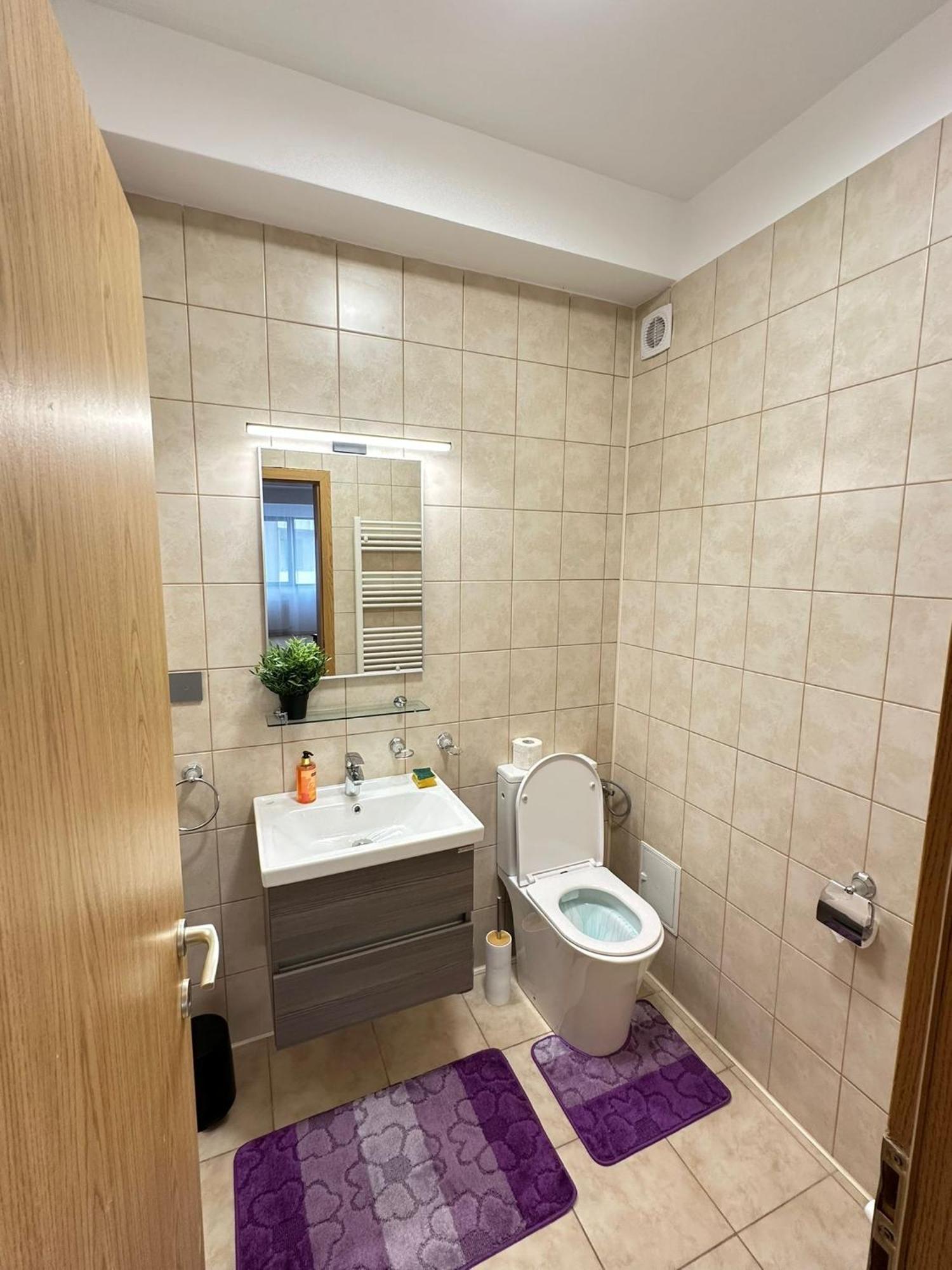 Centru Unirii Luxury Vip Palmier Apartament 2 Camere Cu Terasa Exterioara Amenajata ! Parcare Subterana Privata Climatizata Si Supravegheata Video Dar Doar Cu Rezervare In Limita Locurilor Disponibile !Proprietate In Regim Hoteliep - Nu Are Bucatarie Бухарест Экстерьер фото